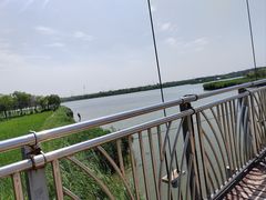 -西青郊野公园