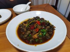 -张鸟园农家乐(张鸟园店)