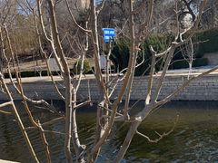 -元大都城垣遗址公园