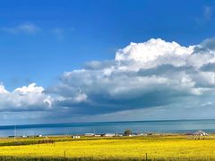 -青海湖国家重点风景名胜区