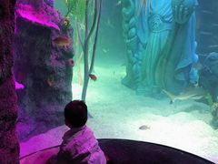 -沈阳海洋探索中心