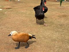 -鄱阳湖国家湿地公园
