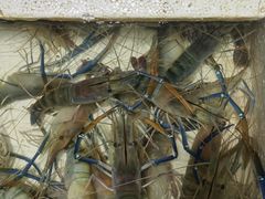 -布吉农产品批发市场