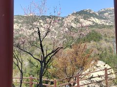-崂山巨峰游览区