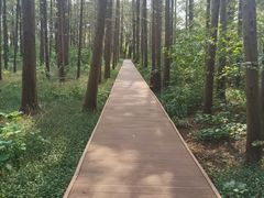 -同里国家湿地公园