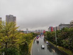 -横岗眼镜城