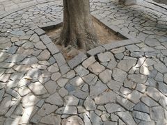 -牟氏庄园