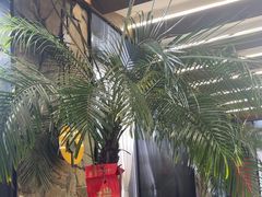 -陈熹公民族美食文化餐厅(中华广场店)