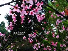 -庐山风景区花径公园