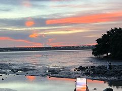 -宝安西湾红树林湿地公园