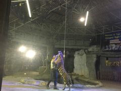 -清迈夜间动物园