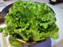 -杨记齐齐哈尔烤肉(总店)