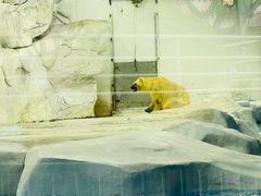 -海合安成都极地海洋公园