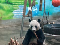 -柳州市动物园