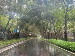 -广州市白云山风景名胜区