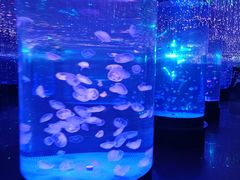 -哈尔滨波塞冬海底世界