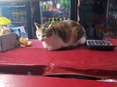 -阿姨靓汤(广外店)