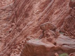 -天山神秘大峡谷