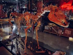 -北京三里屯CHAO酒店