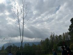 -窦圌山风景区