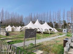 -前小桔亲子创意农场·草莓采摘·露营烧烤