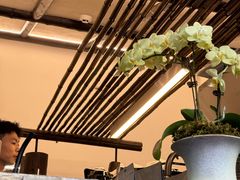 -竹子咖啡bamboo coffee