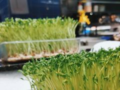 -V-ONE西雅图海鲜自助餐厅(仓山万达广场店)