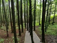 -山王坪喀斯特国家生态公园