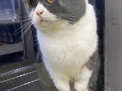 -PETKIT小佩宠物·低压洗护(国顺东路店)