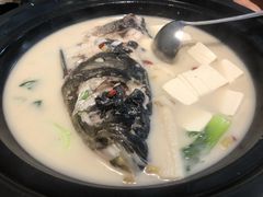 千岛湖鱼头奶汤-7017浙菜•建德味(市心北路店)