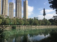 -成都市活水公园
