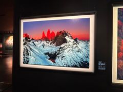 -罗红摄影艺术馆