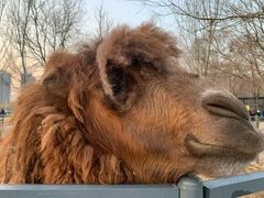 -长白岛森林公园