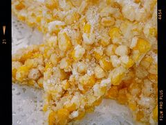 -天天沸腾(东港路店)