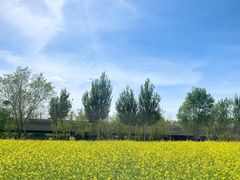 -长白岛森林公园