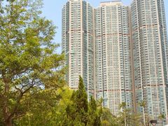 -九龙公园
