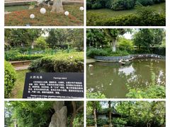 -红梅公园
