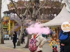 -朝阳公园游乐园