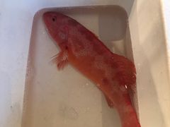 -苏浙总会(国金中心店)