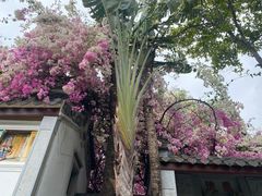 -深圳国际园林花卉博览园