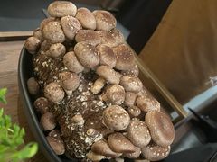 有机松香菇-捞王锅物料理(济南万象城店)