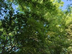-大连植物园