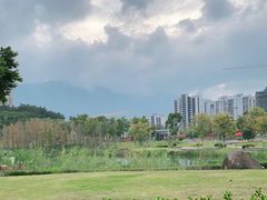 -牛岗山公园