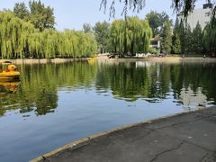 -团结湖公园