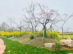 -武汉紫薇都市田园