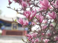 -西安市广仁寺