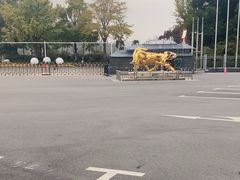 -大宁郁金香公园-停车场