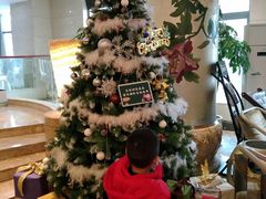 -长沙小天鹅戴斯酒店