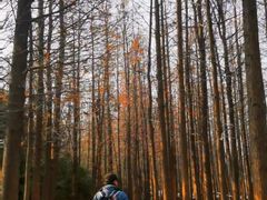 -云龙湖旅游景区