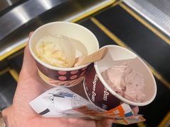 -哈根达斯(西安高新店)